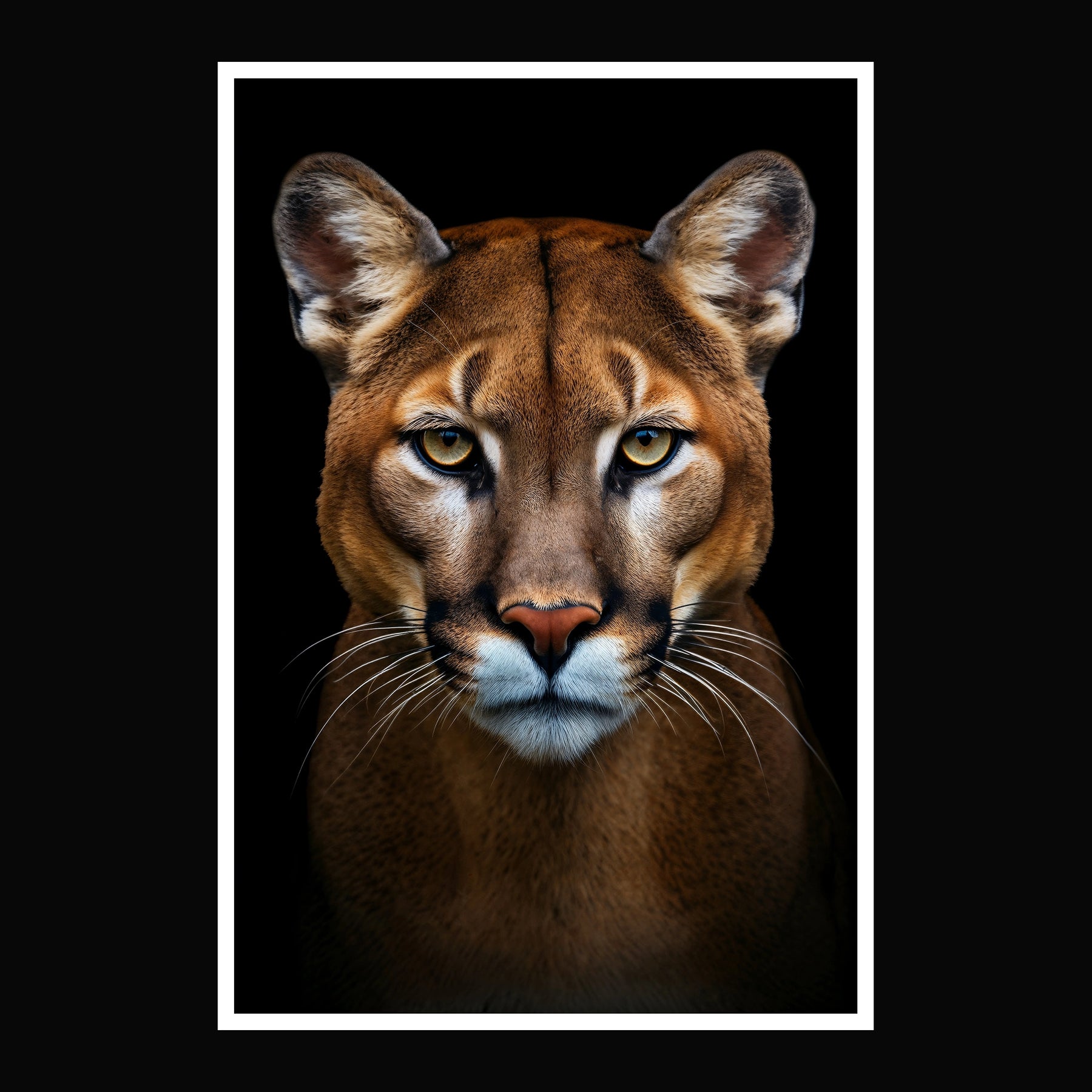 #5 Shadow | Mountain Lion / Cougar Poster - Portrait Front View | 1 of 1000