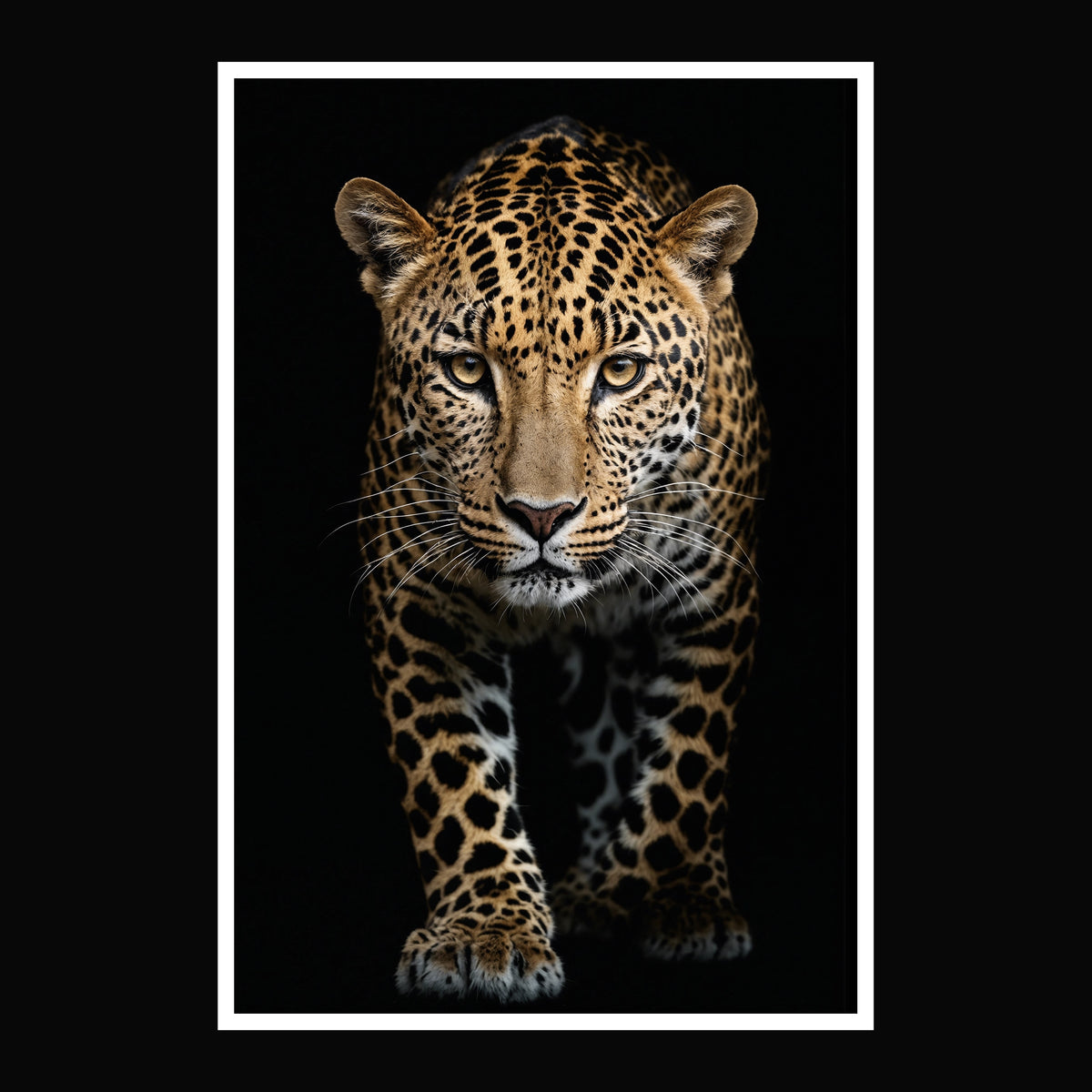 #3 Aurora | Leopard Poster - Full Front View | 1 of 1000