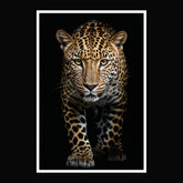 #3 Aurora | Leopard Poster - Full Front View | 1 of 1000